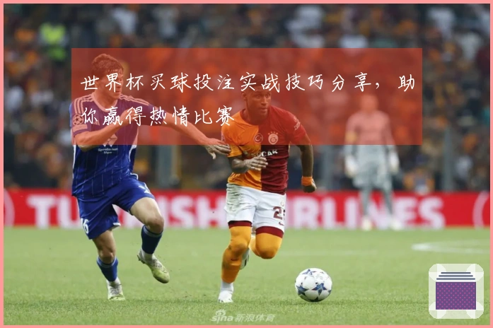 世界杯买球投注实战技巧分享，助你赢得热情比赛