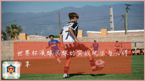 世界杯滚球买球的实战玩法与心得分享