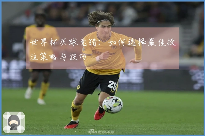 世界杯买球竞猜：如何选择最佳投注策略与技巧